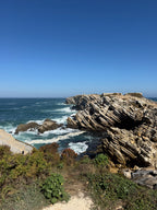 Waves, Wonders & Wild Paths