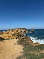 Waves, Wonders & Wild Paths