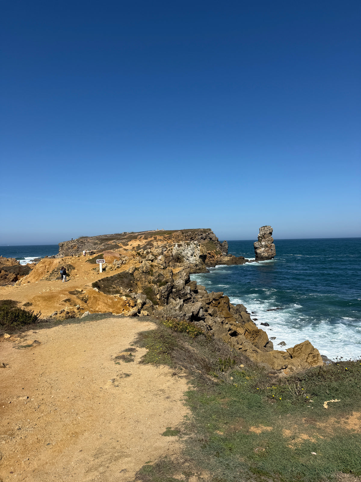Waves, Wonders & Wild Paths