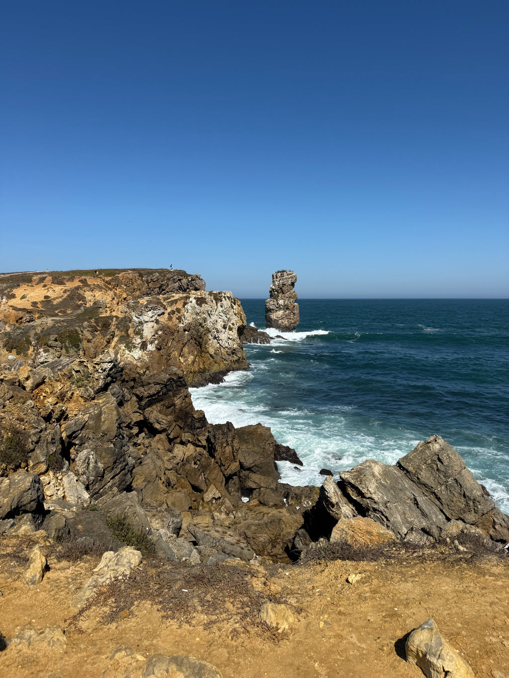 Waves, Wonders & Wild Paths