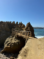 Waves, Wonders & Wild Paths