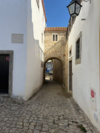 Secrets Behind the Castle Walls