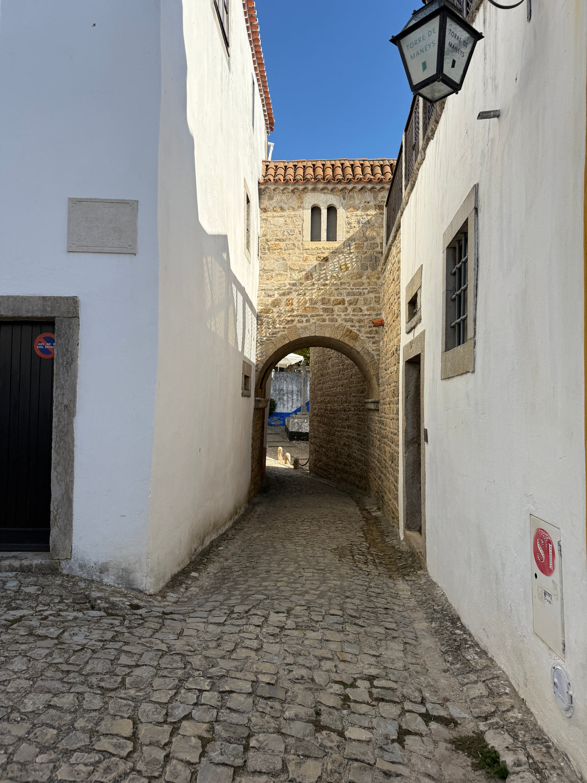 Secrets Behind the Castle Walls