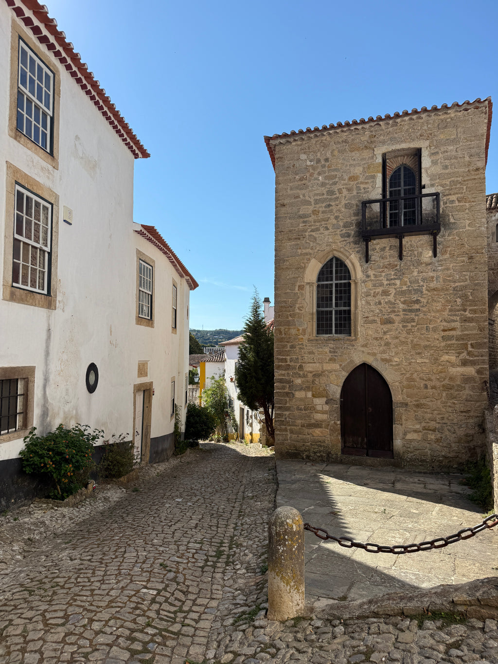 Secrets Behind the Castle Walls