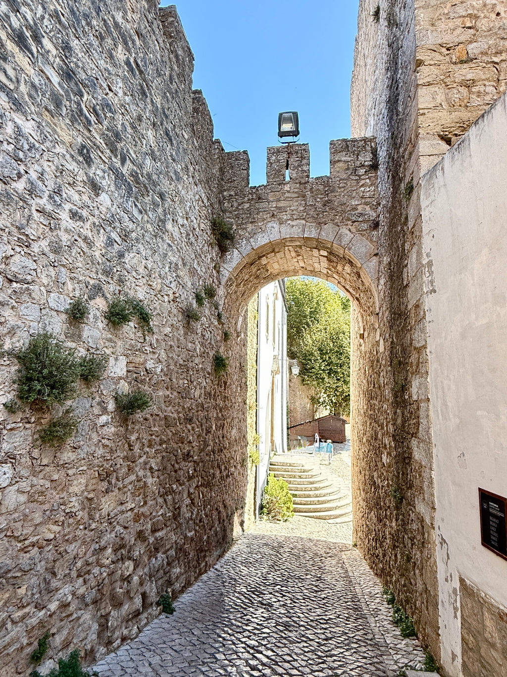 Secrets Behind the Castle Walls