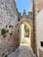 Secrets Behind the Castle Walls