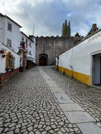 Secrets Behind the Castle Walls