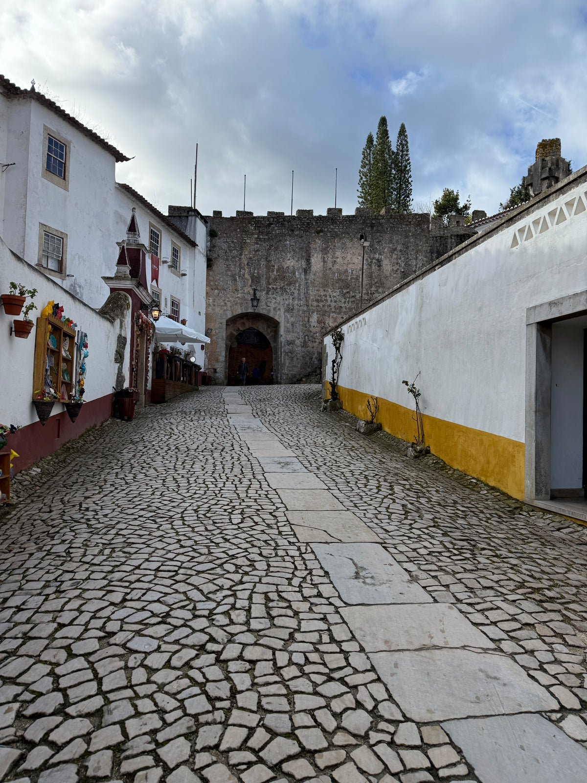 Secrets Behind the Castle Walls