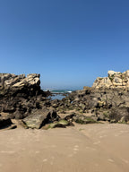 Waves, Wonders & Wild Paths