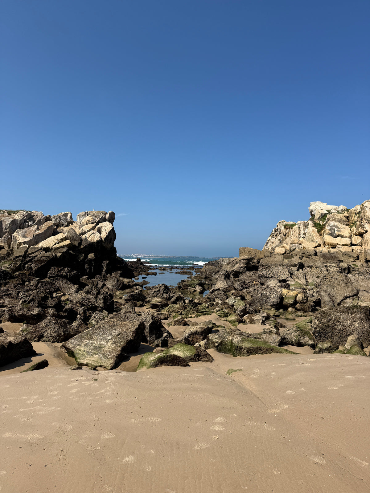 Waves, Wonders & Wild Paths