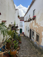 Secrets Behind the Castle Walls