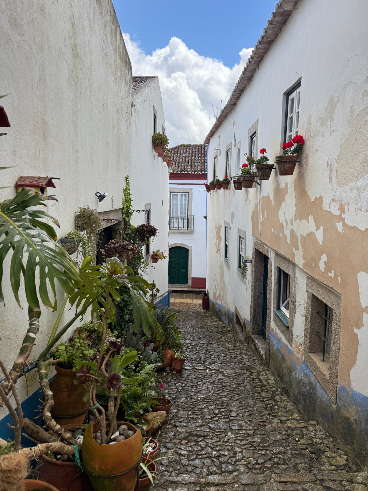 Secrets Behind the Castle Walls