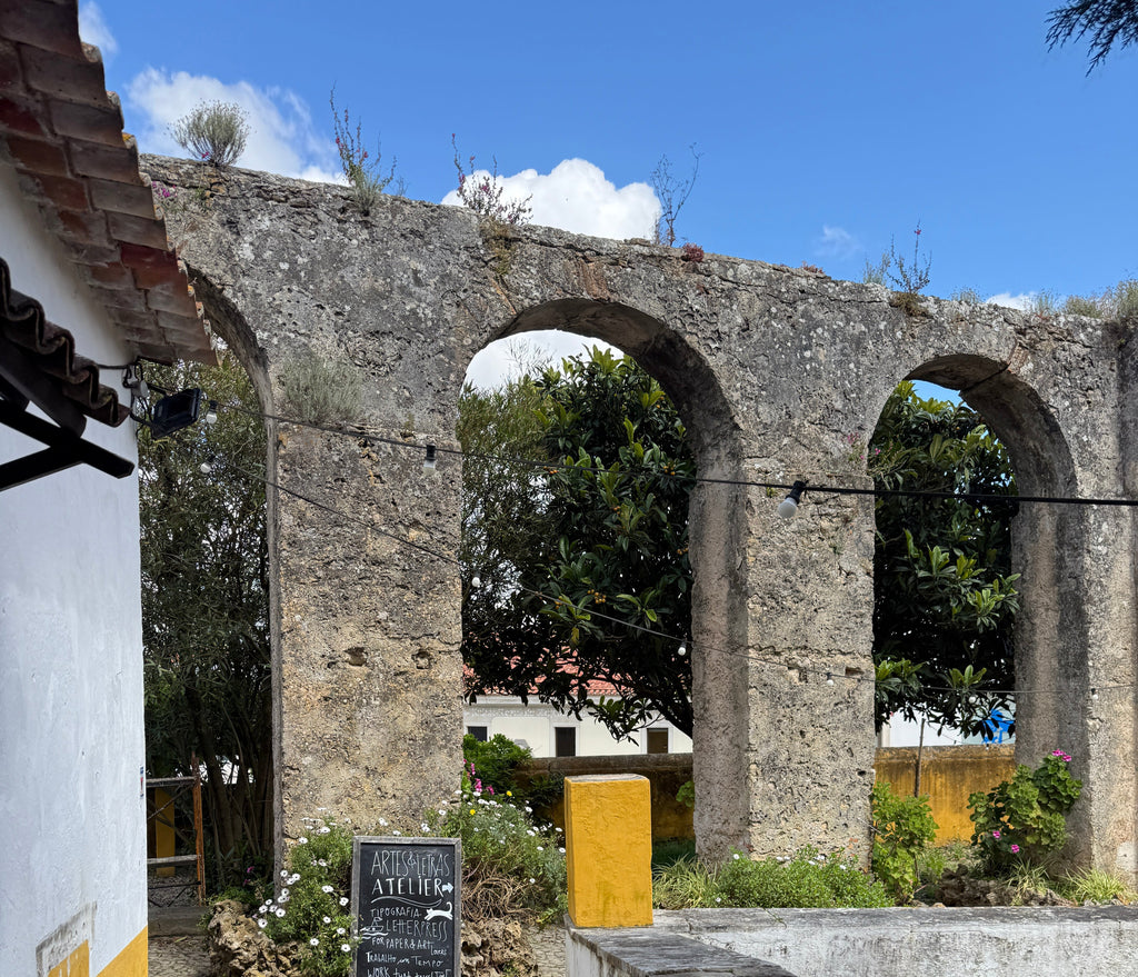 Secrets Behind the Castle Walls