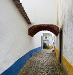 Secrets Behind the Castle Walls