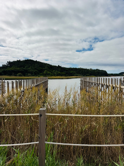lagoa de obidos 