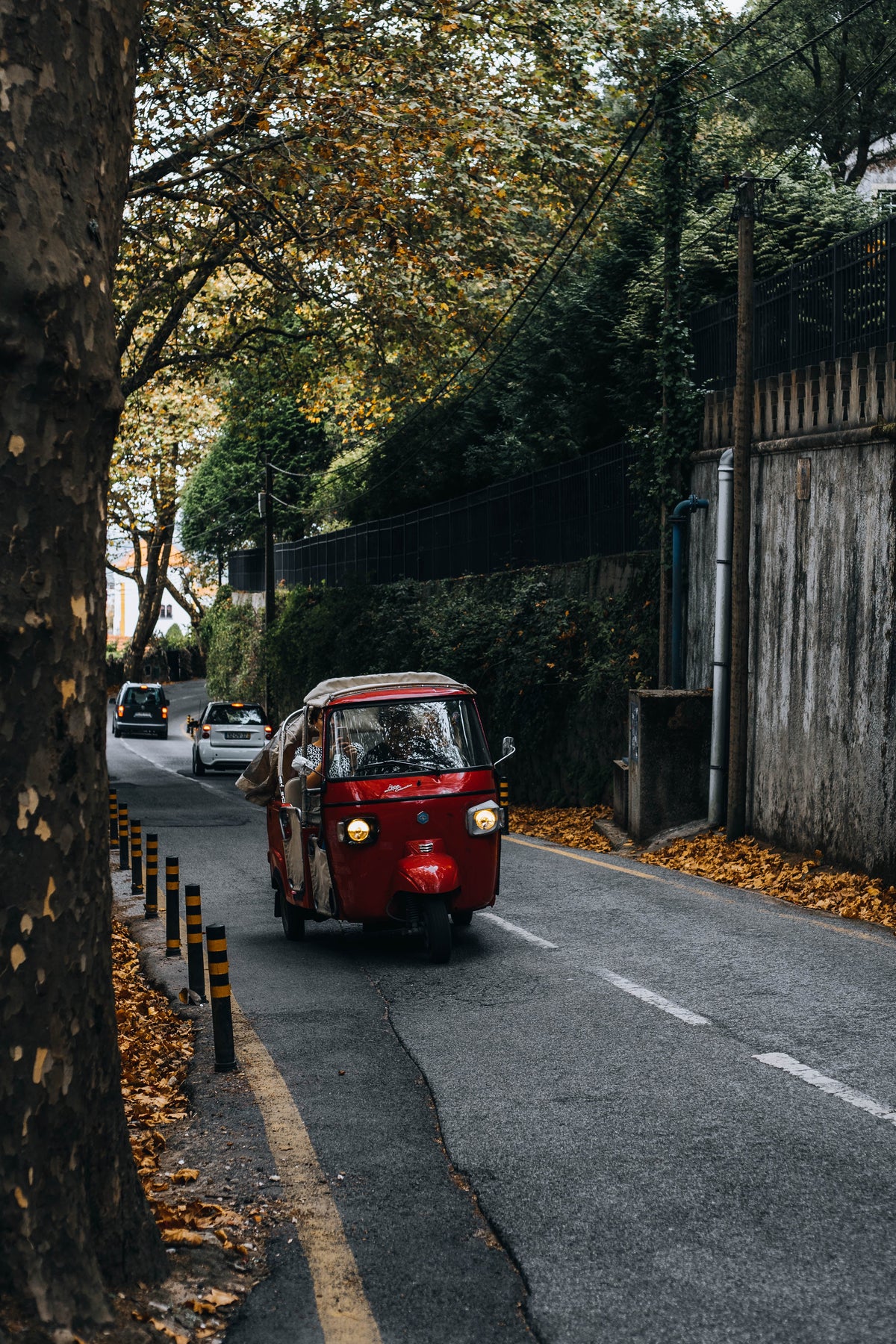 A red three-wheeled electric tuk-tuk drives down a tree-lined street with fallen leaves, bordered by a weathered wall on the right.